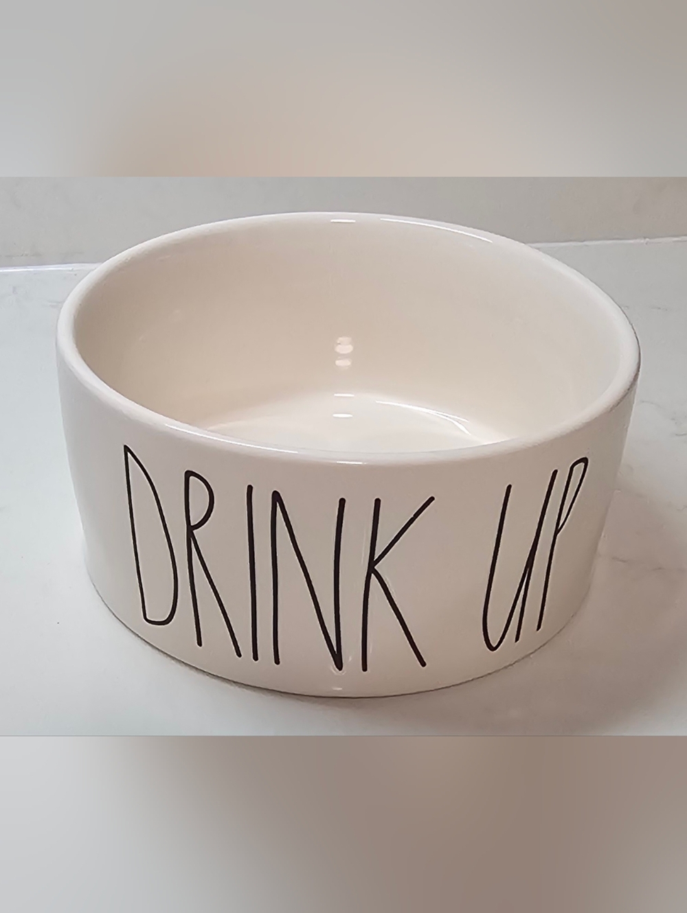 NEW Rae Dunn Large Drink Up Water Dog Cat Pet Bowl